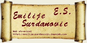 Emilije Surdanović vizit kartica